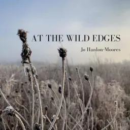 At The Wild Edges Podcast artwork