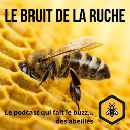 Le Bruit de la Ruche Podcast artwork