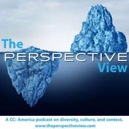 The Perspective View Podcast artwork