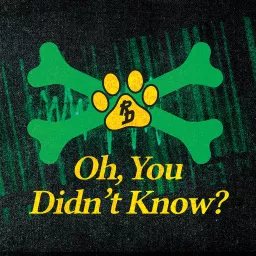 Oh...You Didn't Know with Road Dogg Brian James and Casio Kid Podcast artwork