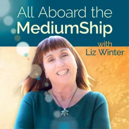 All Aboard The MediumShip Podcast artwork