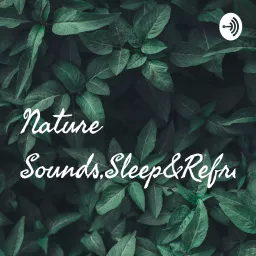 Nature Sounds Podcast artwork