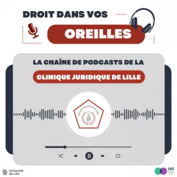 Droit dans dans vos oreilles Podcast artwork