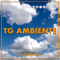 Tg Ambiente Podcast artwork