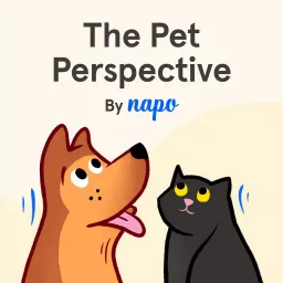 The Pet Perspective by Napo Podcast artwork