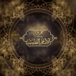 برنامج حديث الإمام الطيب - رمضان 2022م Podcast artwork