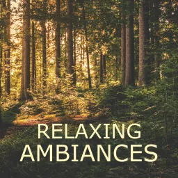 Relaxing Ambiances