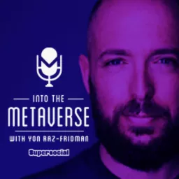 Into the Metaverse Podcast artwork
