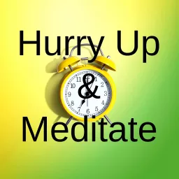 Hurry Up And Meditate