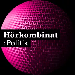 Hörkombinat :Politik