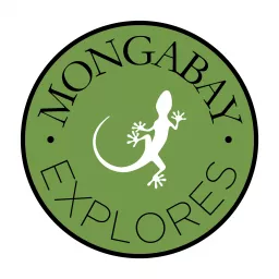 Mongabay Explores Podcast artwork