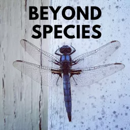 Beyond Species Podcast artwork