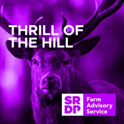 Thrill Of The Hill Podcast artwork