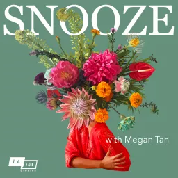 Snooze Podcast artwork