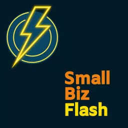 Small Biz Flash Podcast artwork