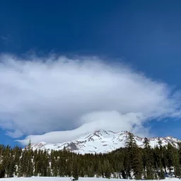 Mt Shasta Journey