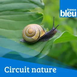 Circuit Nature FB Picardie Podcast artwork