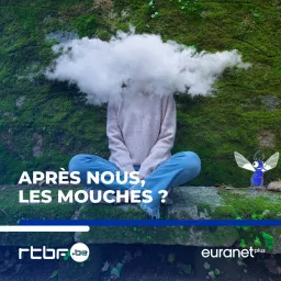 Après nous, les mouches ?