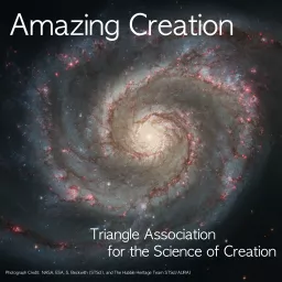 Amazing Creation Podcast artwork