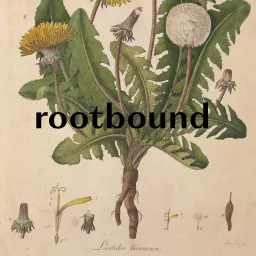 rootbound Podcast artwork