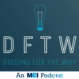Digging for the Why Podcast artwork