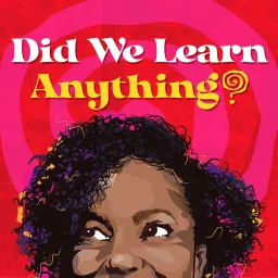 Did We Learn Anything? Podcast artwork