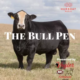 The Bull Pen