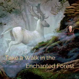 Take a Walk in the Enchanted Forest Podcast artwork