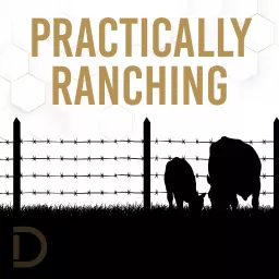 Practically Ranching Podcast artwork
