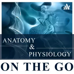 Anatomy & Physiology On The Go Podcast artwork