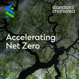 Accelerating Net Zero Podcast artwork