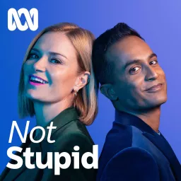 Not Stupid Podcast artwork