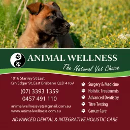 Animal Wellness Vets