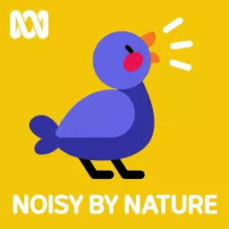 Noisy by Nature Podcast artwork