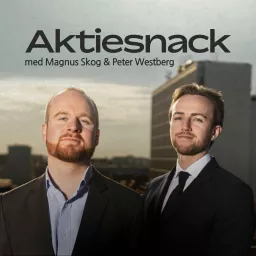 Aktiesnack Podcast artwork