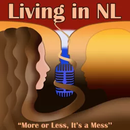 Living in NL | More or less, it’s a mess