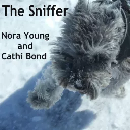 The Sniffer