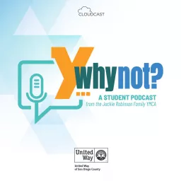 Y, Why Not? Podcast artwork