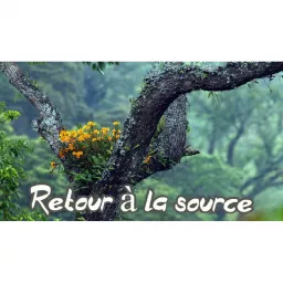 Retour à la source