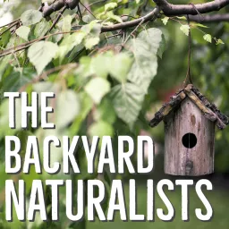 The Backyard Naturalists Podcast artwork