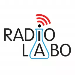 Radio Labo Podcast artwork