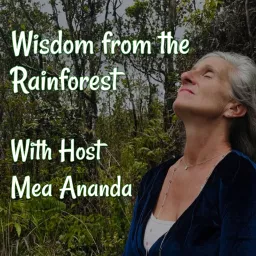 Wisdom from the Rainforest Podcast artwork