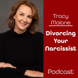 Divorcing Your Narcissist: You Can't Make This Shit Up!