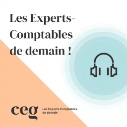 Les Experts-Comptables de demain ! Podcast artwork