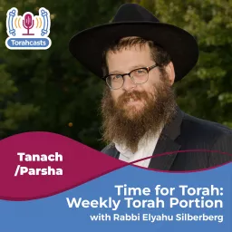 Time for Torah with Rabbi Silberberg: Weekly Torah Portion Podcast artwork