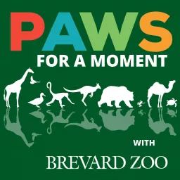 Paws for a Moment Podcast artwork