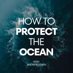 How To Protect The Ocean Podcast artwork