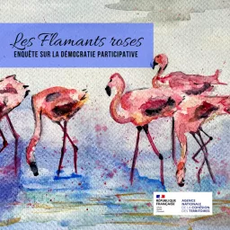 Les Flamants Roses Podcast artwork