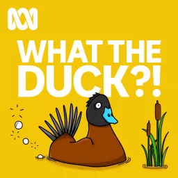 What The Duck?! Podcast artwork