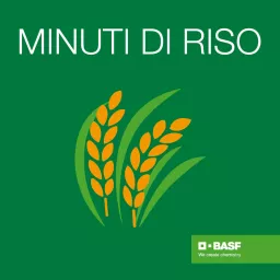 MINUTI DI RISO Podcast artwork